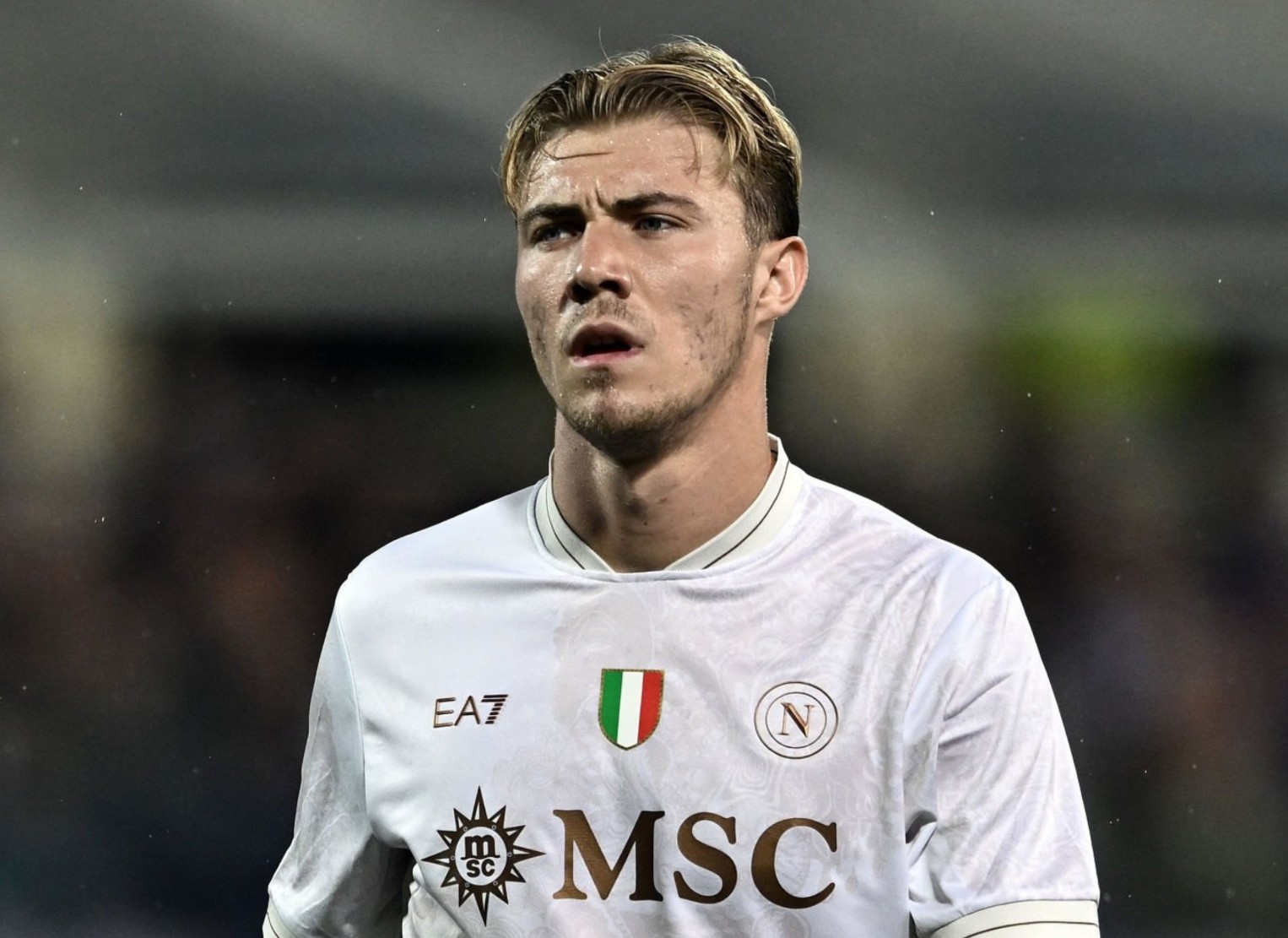 德只是一个, div, msn